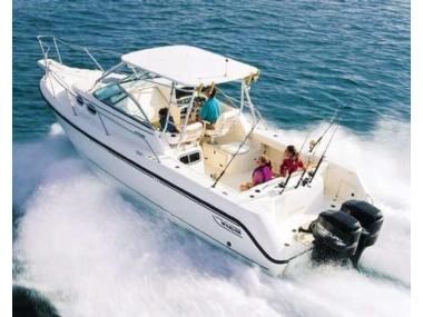 Boston Whaler 295conquest