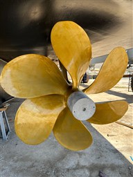 PHOTO-2024-08-03-12-56-03 3.jpg