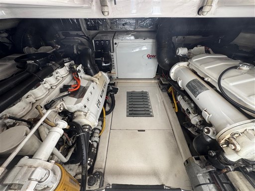 PHOTO-2026-01-12-10-51-25_1