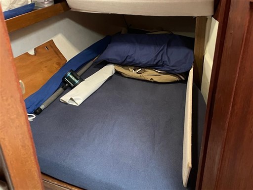 WhatsApp Image 2026-02-06 at 10.51.12.jpeg