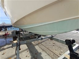 WhatsApp Image 2025-11-29 at 11.58.33.jpeg