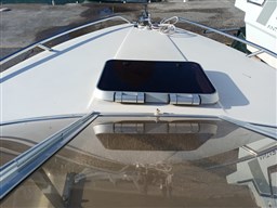 WhatsApp Image 2025-11-29 at 12.12.42.jpeg