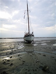 IMG_20220516_190740.jpg