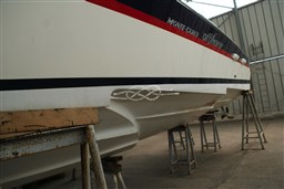 DSC08433.jpg