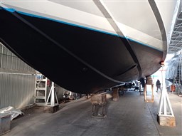 PHOTO-2024-02-16-08-17-57 (1).jpg