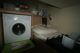 DSC07894.jpg