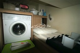 DSC07894.jpg