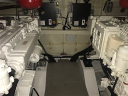 IMG_0201.JPG