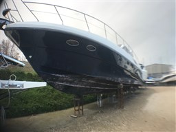 image-2.jpg