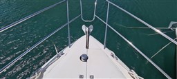 20210714_144059.jpeg