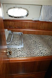 DSC00314.jpg