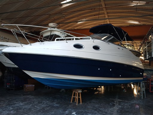 Regal Marine Commodore 242