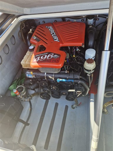 LED 33 GS 2007 Ryb (8)