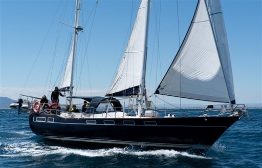 Wauquiez 43