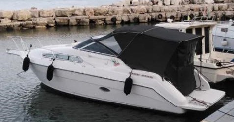 Regal Marine Valanti 260