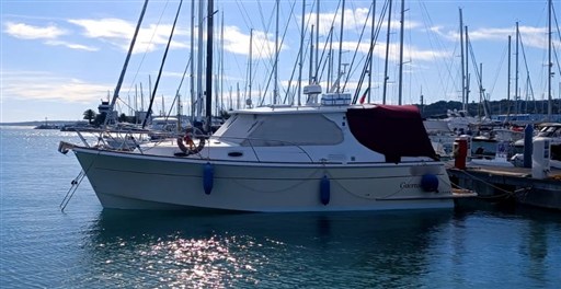 Guernsey 34
