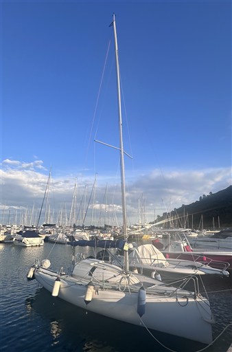 IMG_7303
