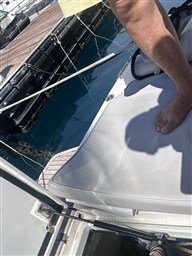 IMG_7865.jpeg