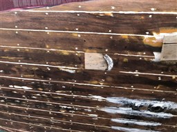 365a44dd-0e61-452a-8b6a-42d2cc429a7c