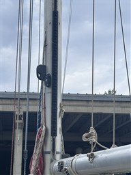 IMG_7790