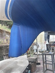 IMG_7785