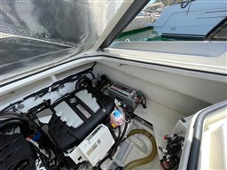 55619370-8f65-4743-8695-80bb455a7938