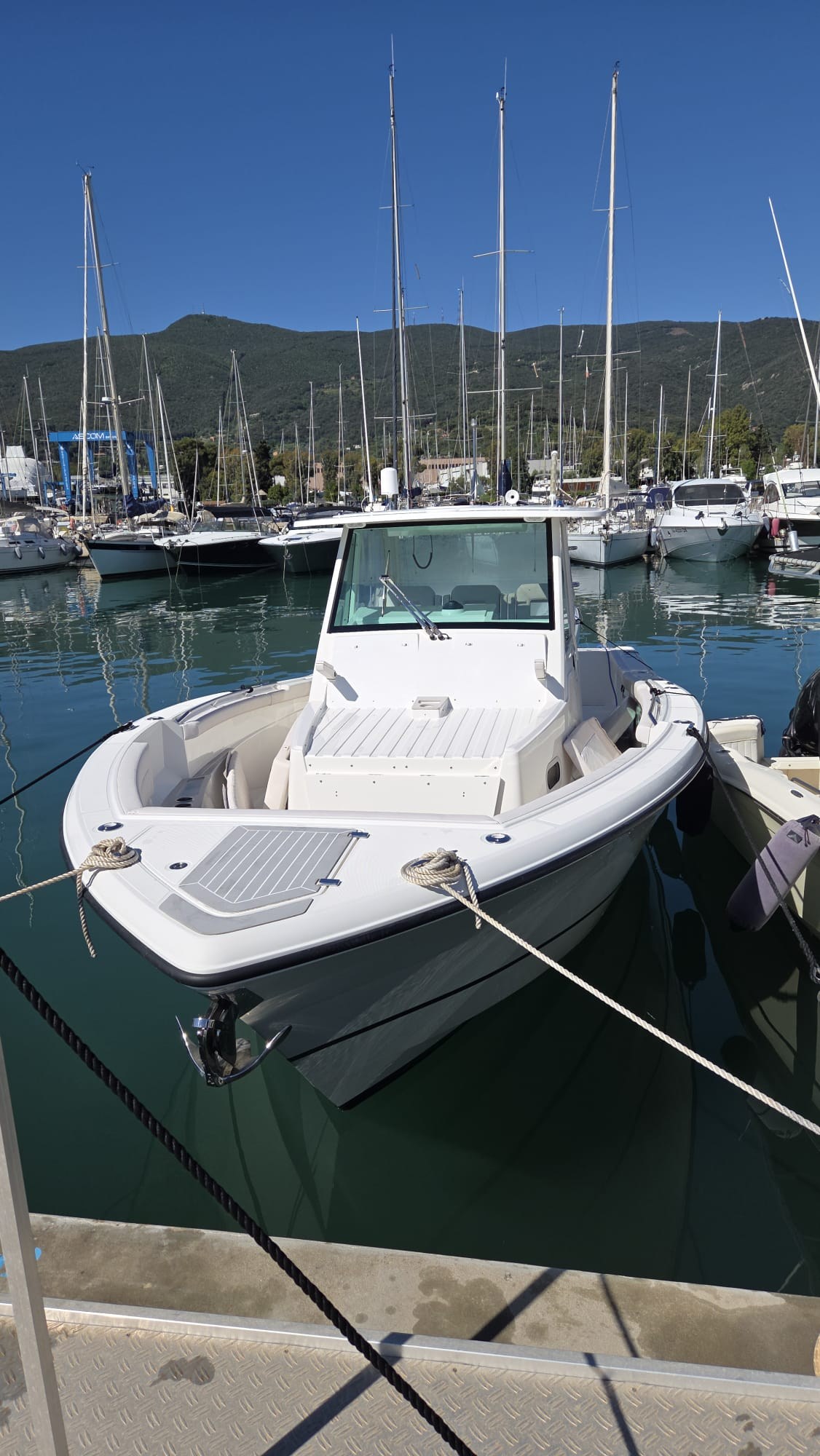 WhatsApp Image 2026-04-24 at 10.36.27 (2)