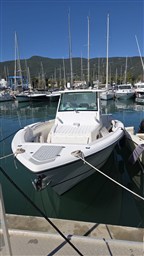 WhatsApp Image 2026-04-24 at 10.36.27 (2)