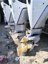 WhatsApp Image 2026-04-24 at 08.41.30 (4)