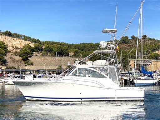 Luhrs 41 Open