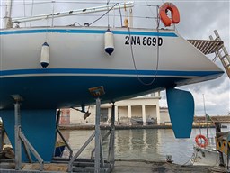 WhatsApp Image 2025-03-23 at 17.24.57 (5)