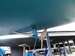 a7e44141-99d1-491a-8cea-9cd517966522