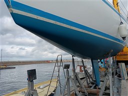 WhatsApp Image 2025-03-23 at 17.24.57 (1)