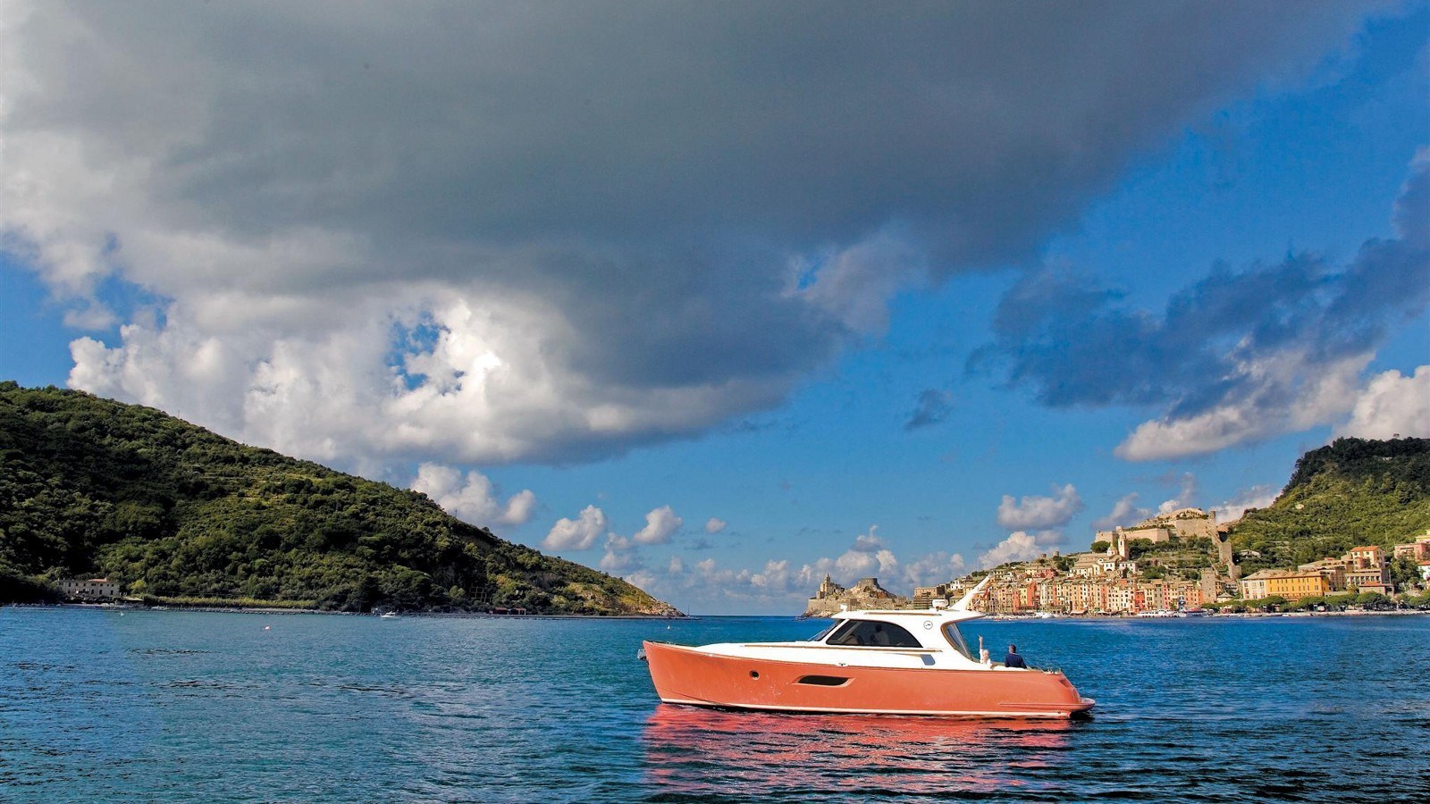 Mochi Craft Dolphin 44