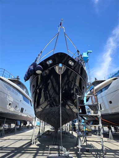 WhatsApp Image 2026-02-02 at 2.20.50 PM (2)