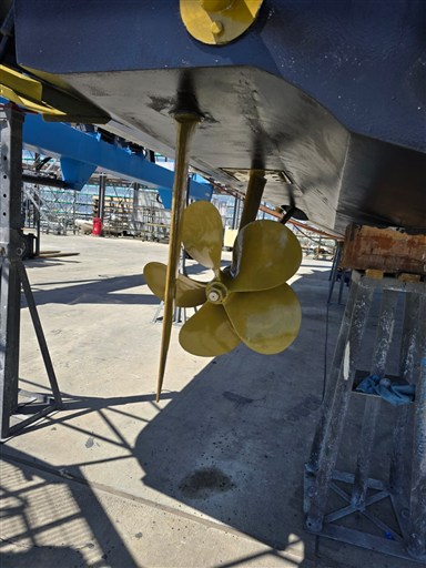 WhatsApp Image 2026-02-02 at 2.20.21 PM - Copy