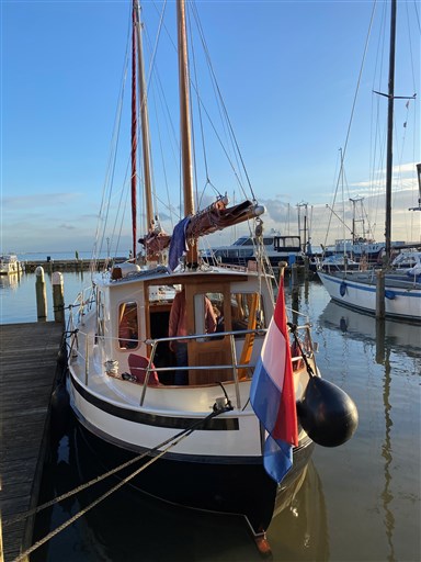 Danish Rose 31 Sjouwerman