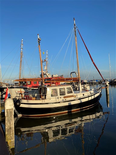 Danish Rose 31 Sjouwerman