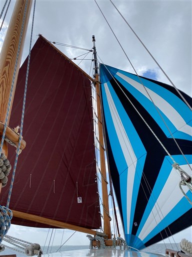 Danish Rose 31 Sjouwerman