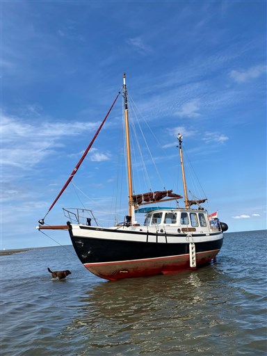 Foto Danish Rose 1.jpg