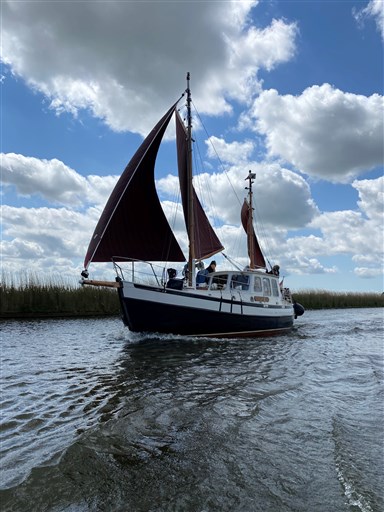 Danish Rose 31 Sjouwerman