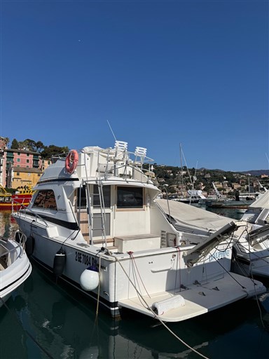 Bertram Yacht 37