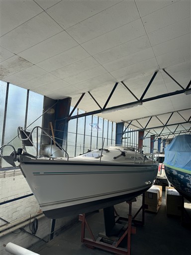 Dehler 36 CWS Halle 3