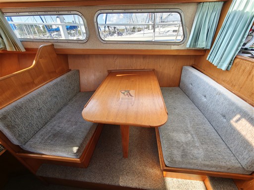 Pedro 33 9