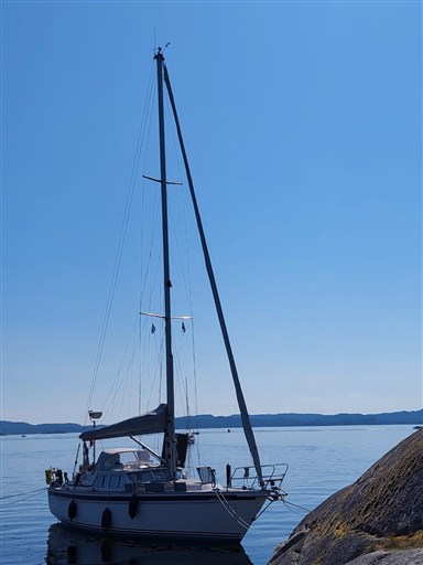 Nordship 38 DS C 151