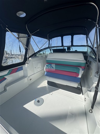 Formula BALU 31