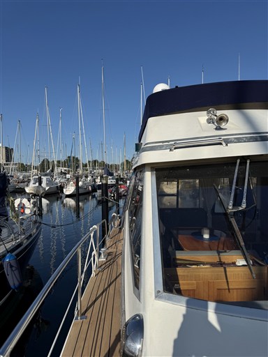 Storebro 340 Royal Cruiser NEU 5MORNING STAR