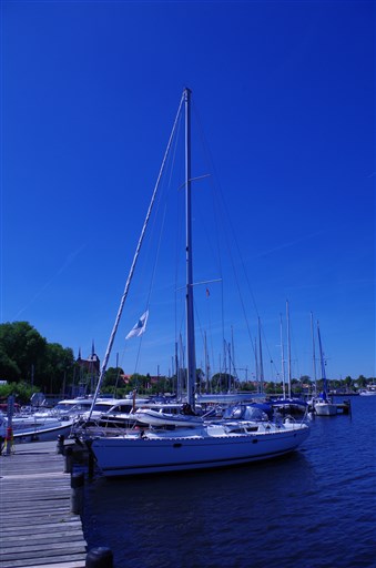 MSP_0364