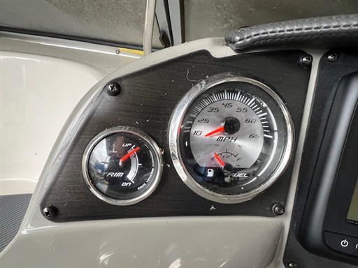 Stingray Ray 250 CR 14