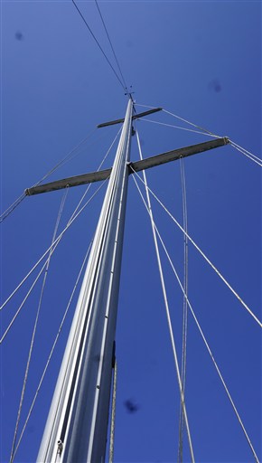 _DSC1241
